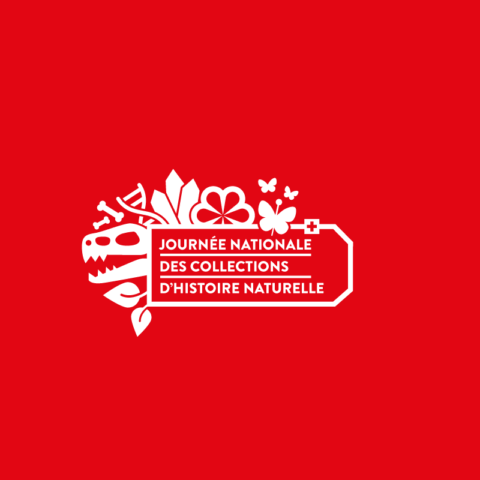 Logo pour la Journée nationale des collections d'histoire naturelle blanc