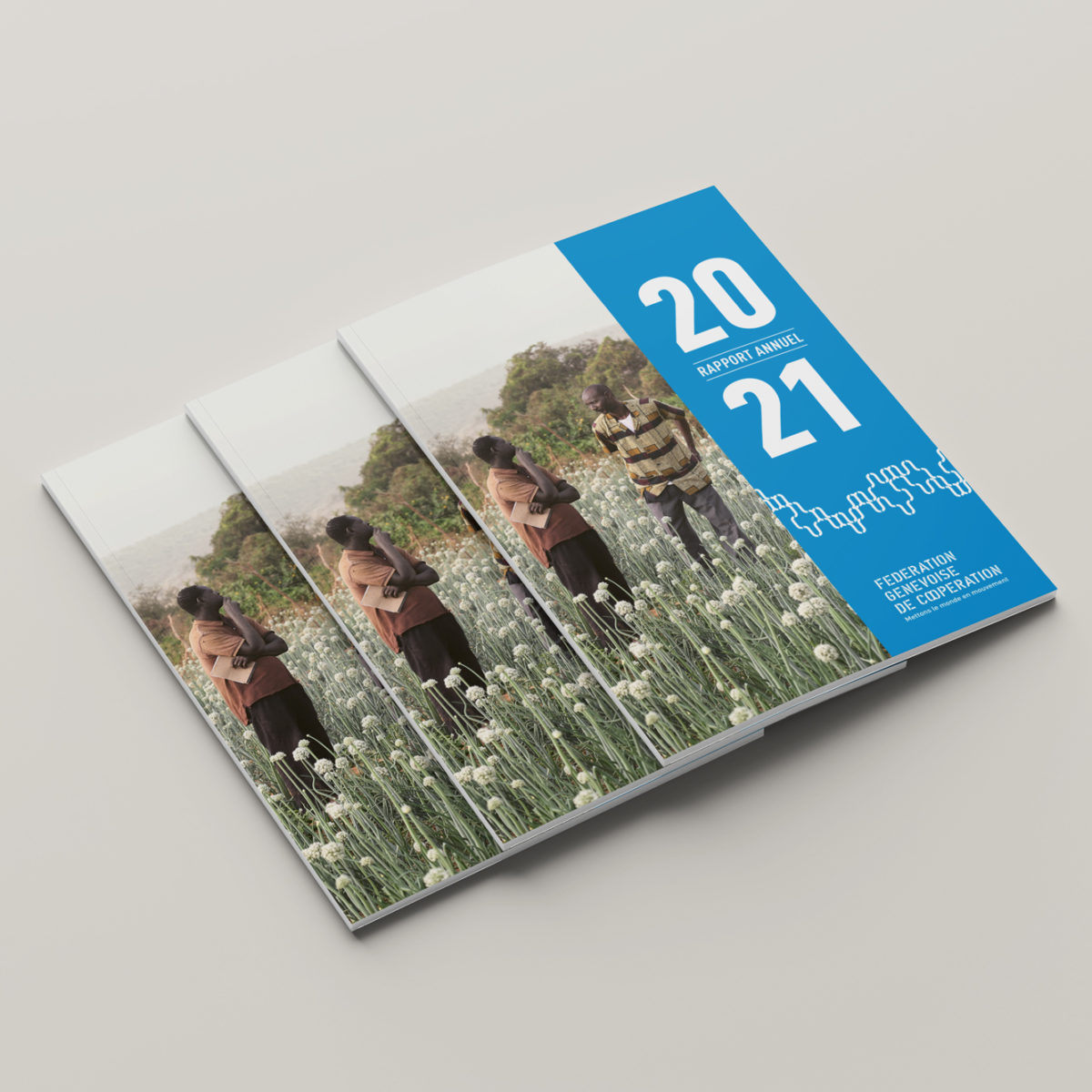 Commercialisation - Développement économique