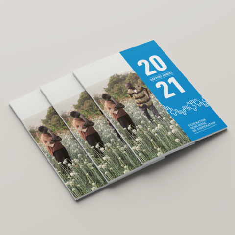 Commercialisation - Développement économique